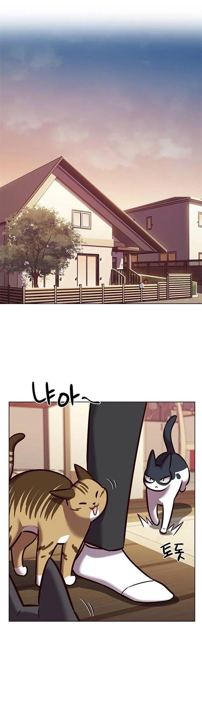 Cô Dâu Của Sói Trắng Chapter 279 - Trang 2