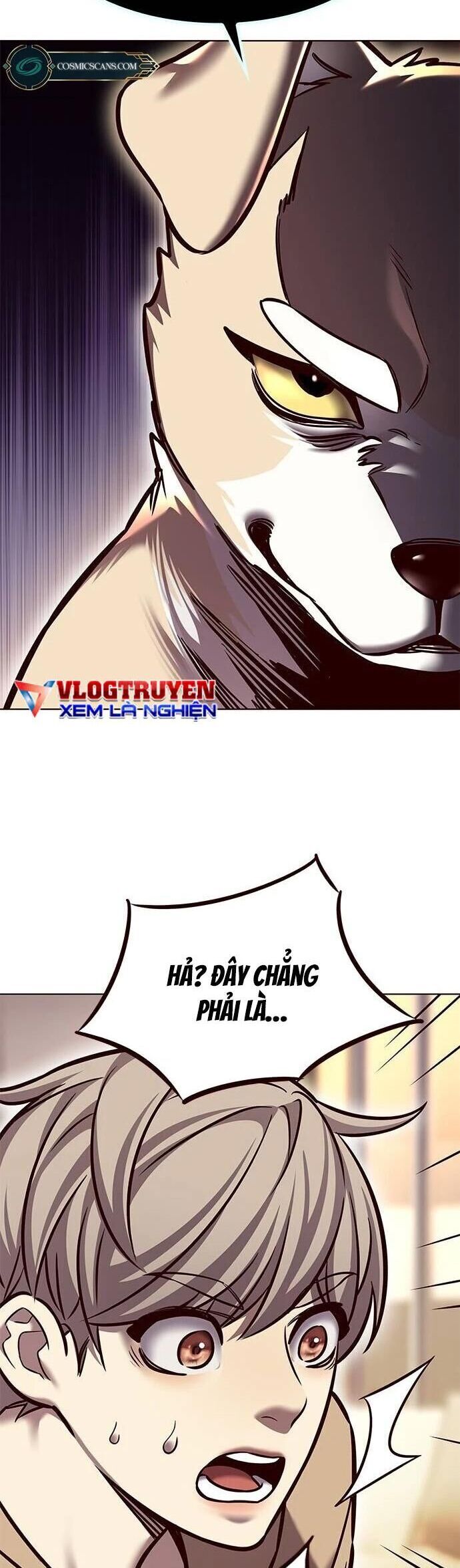 Cô Dâu Của Sói Trắng Chapter 279 - Trang 2