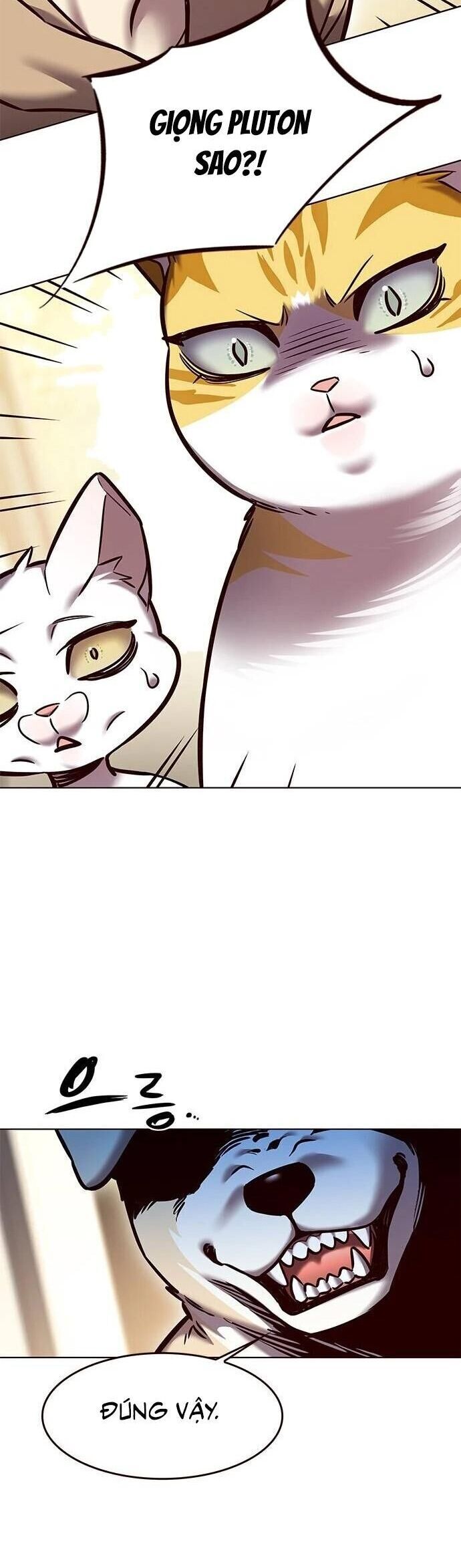 Cô Dâu Của Sói Trắng Chapter 279 - Trang 2