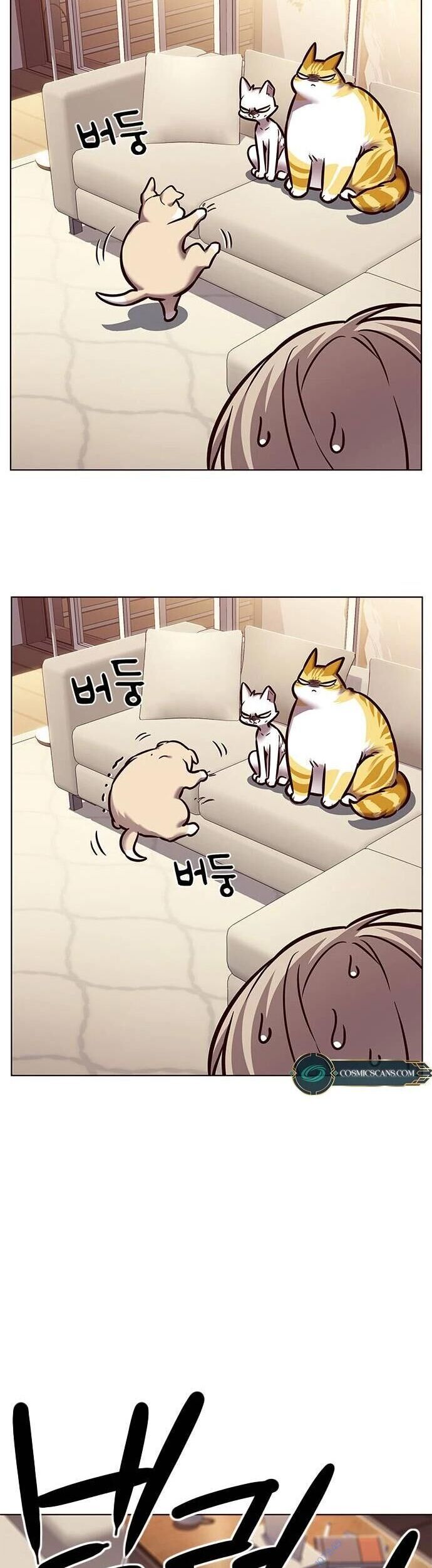 Cô Dâu Của Sói Trắng Chapter 279 - Trang 2