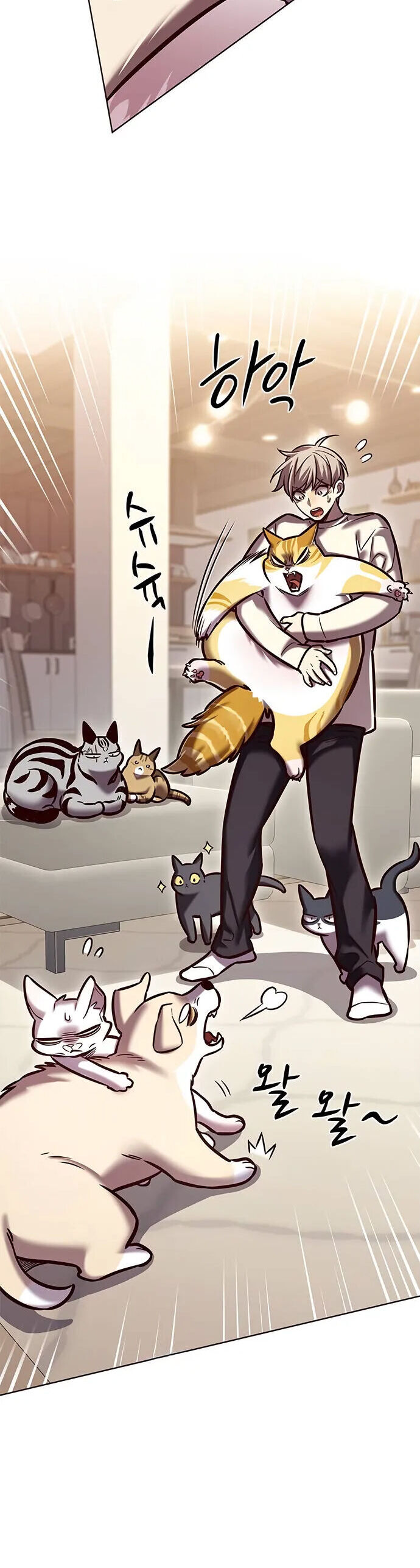 Cô Dâu Của Sói Trắng Chapter 280 - Trang 2
