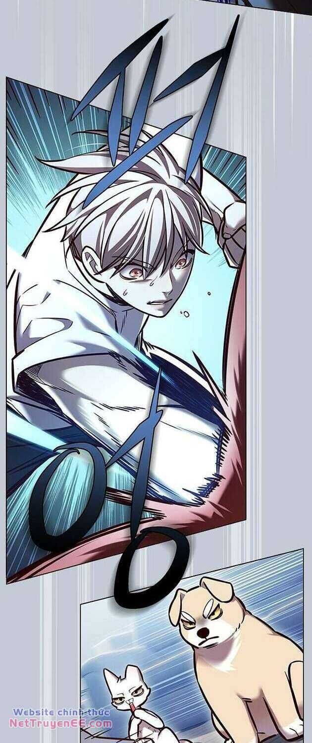 Cô Dâu Của Sói Trắng Chapter 283 - Trang 2