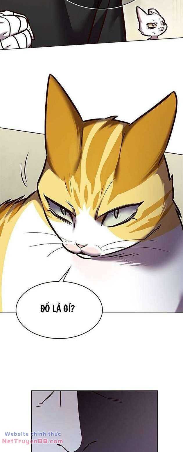 Cô Dâu Của Sói Trắng Chapter 283 - Trang 2