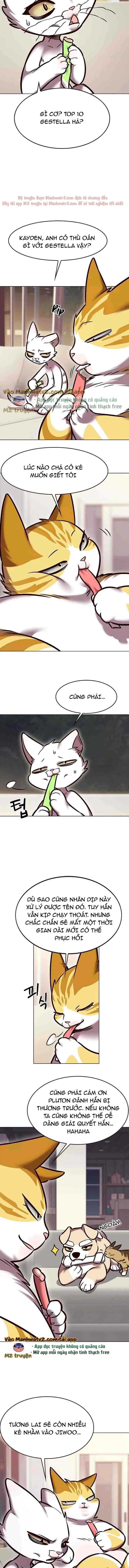 Cô Dâu Của Sói Trắng Chapter 294 - Trang 2
