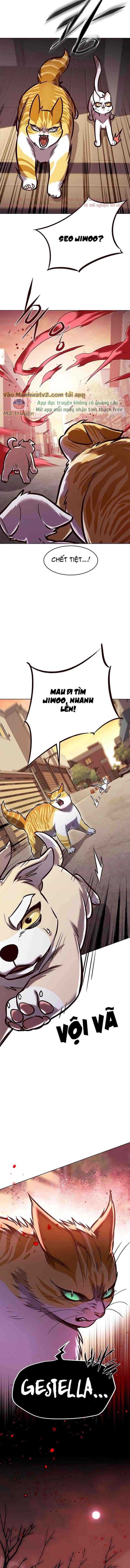 Cô Dâu Của Sói Trắng Chapter 295 - Trang 2