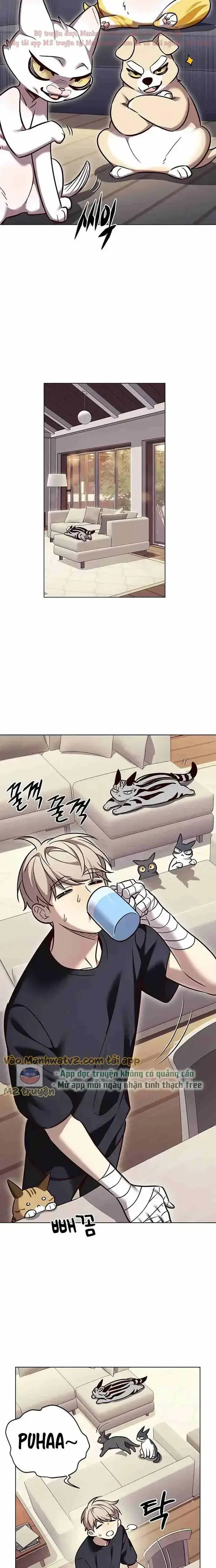 Cô Dâu Của Sói Trắng Chapter 305 - Trang 2