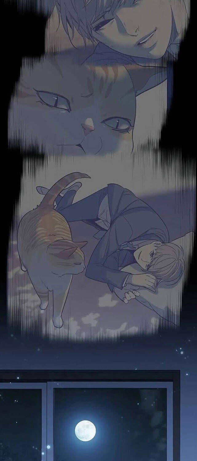Cô Dâu Của Sói Trắng Chapter 309 - Trang 2