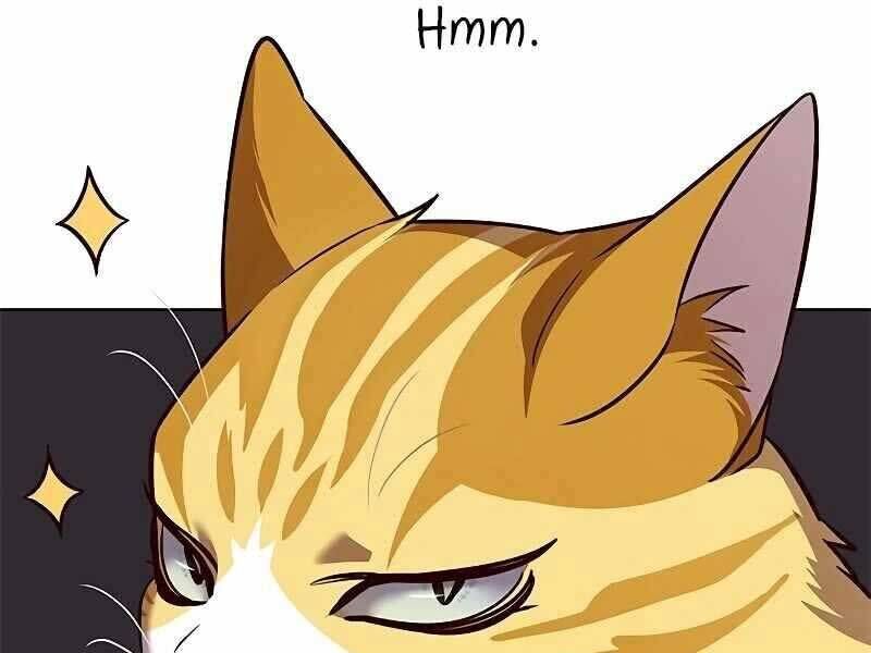 Cô Dâu Của Sói Trắng Chapter 325 - Trang 2