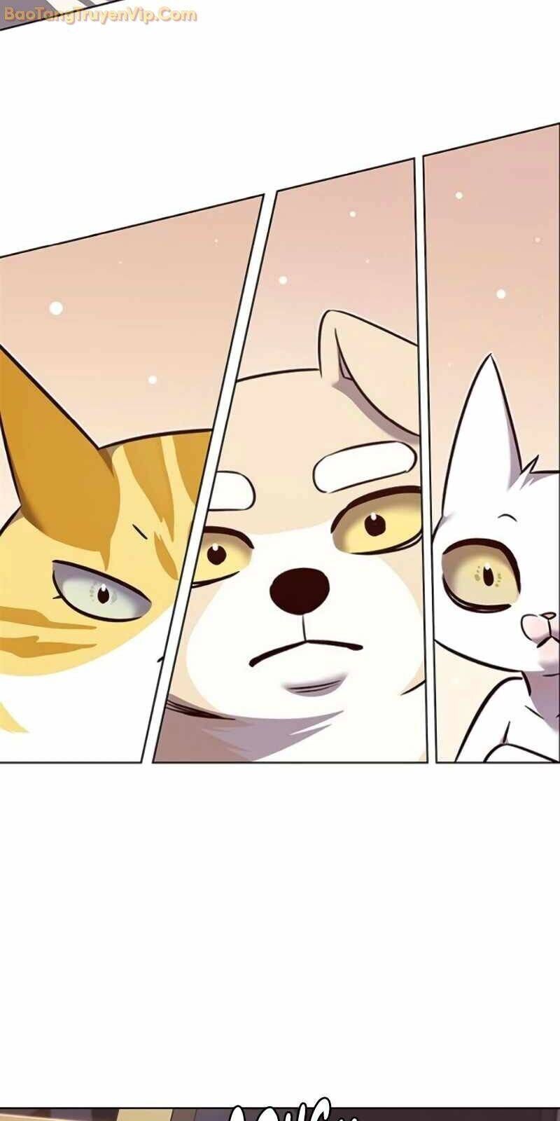 Cô Dâu Của Sói Trắng Chapter 329 - Trang 2