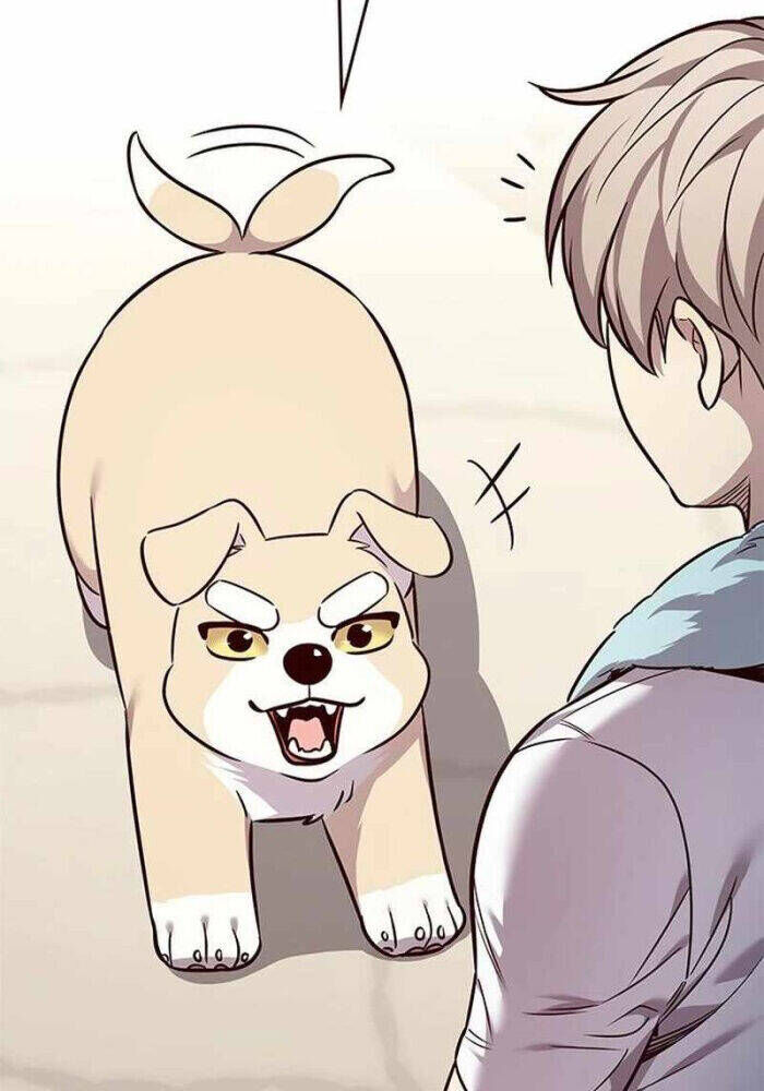 Cô Dâu Của Sói Trắng Chapter 330 - Trang 2