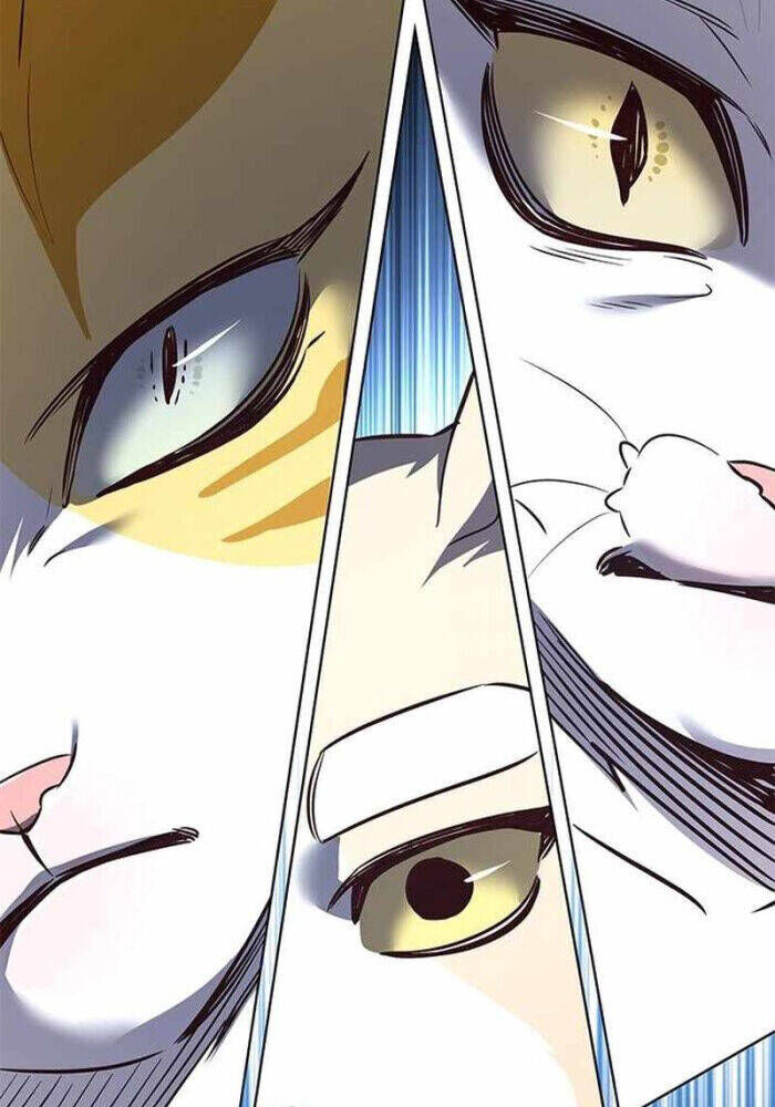Cô Dâu Của Sói Trắng Chapter 330 - Trang 2