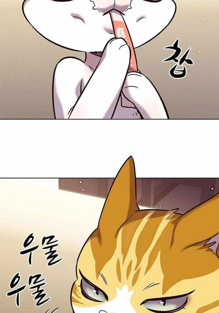 Cô Dâu Của Sói Trắng Chapter 330 - Trang 2