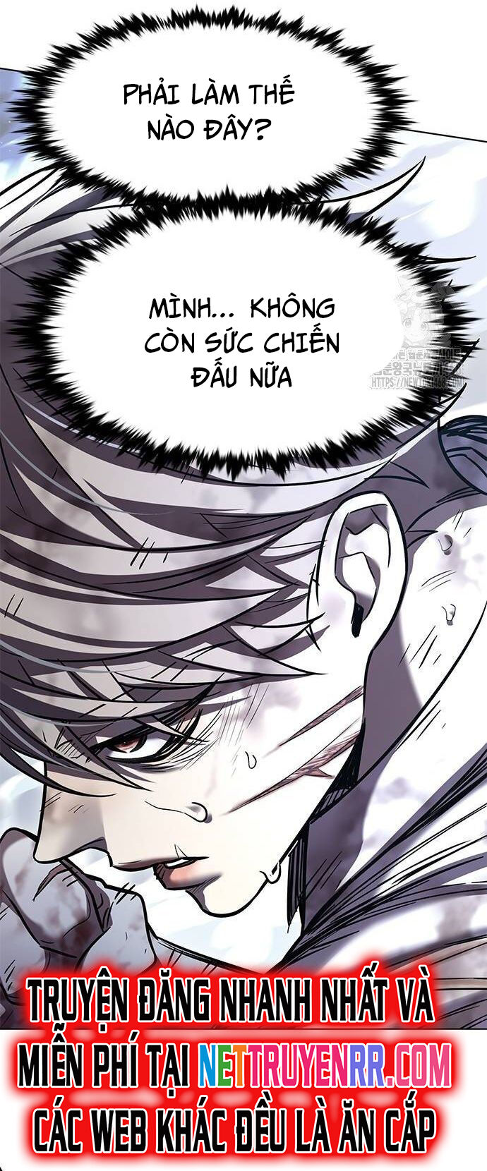 Cô Dâu Của Sói Trắng Chapter 335 - Trang 2