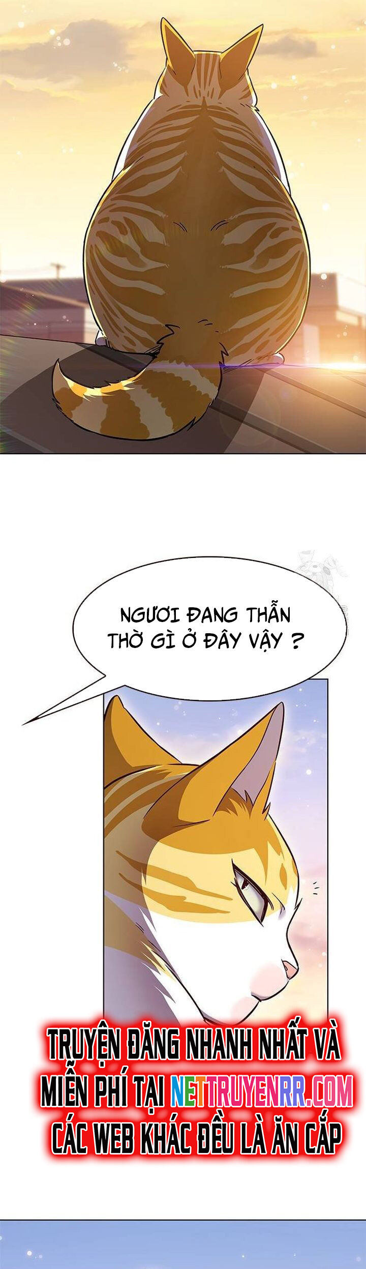 Cô Dâu Của Sói Trắng Chapter 336 - Trang 2