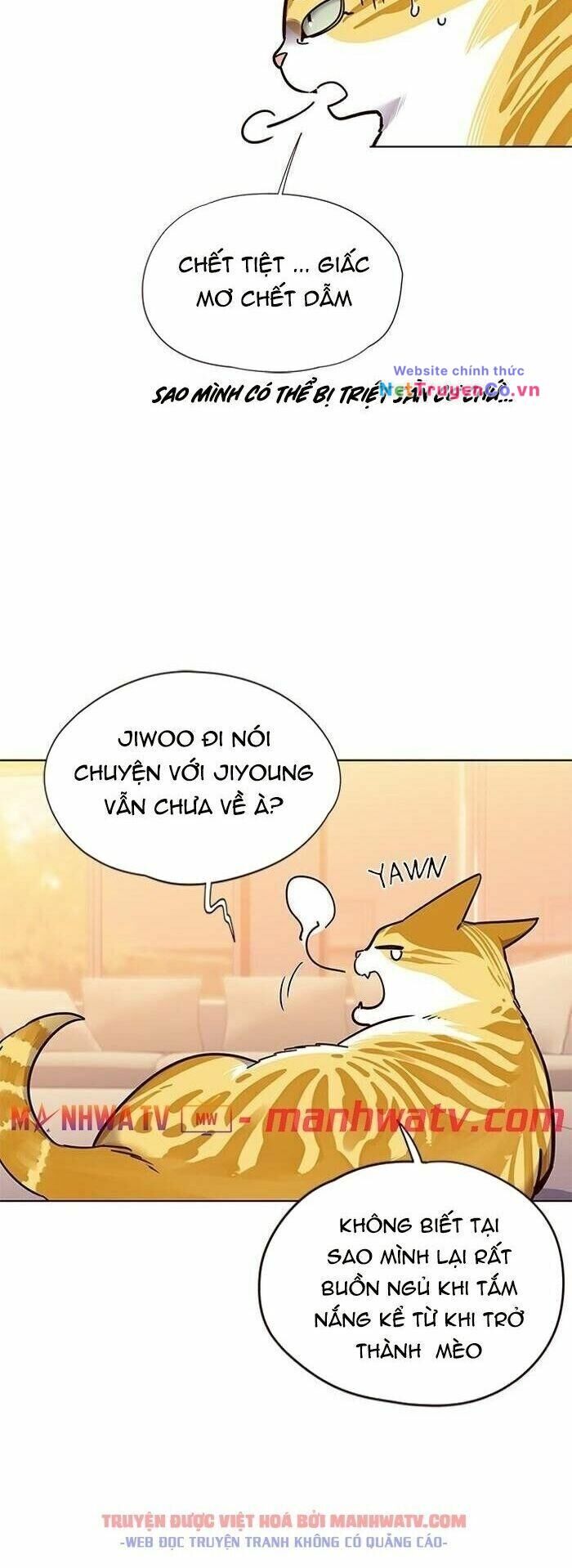 Cô Dâu Của Sói Trắng Chapter 56 - Trang 2