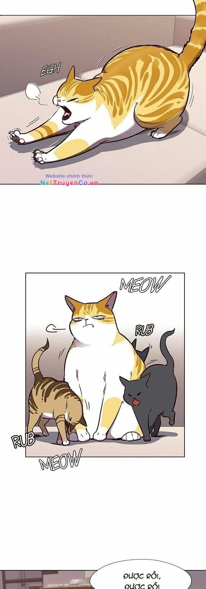 Cô Dâu Của Sói Trắng Chapter 56 - Trang 2
