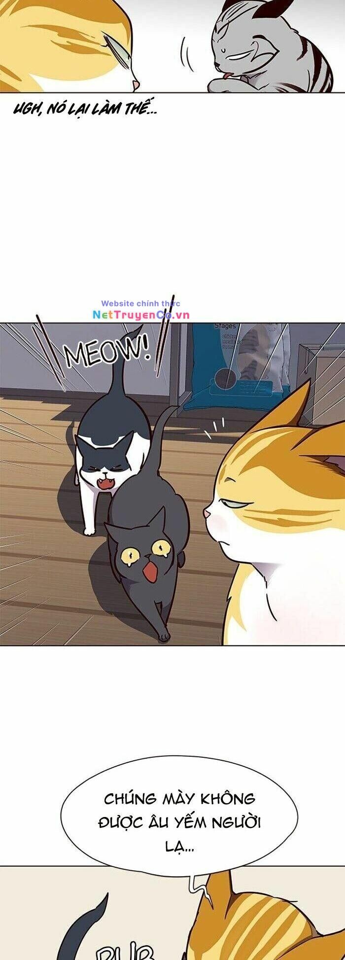 Cô Dâu Của Sói Trắng Chapter 58 - Trang 2