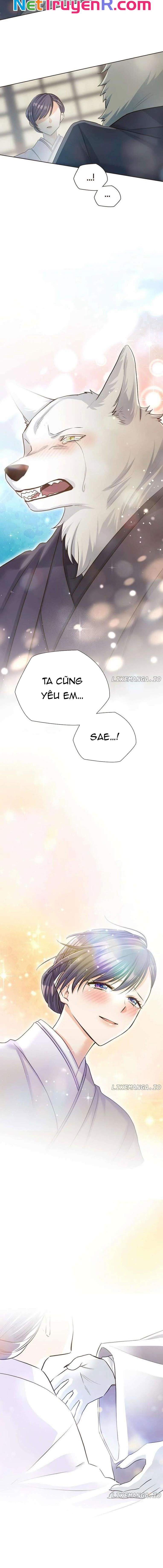 Cô Dâu Của Sói Trắng Chapter 66 - Trang 2