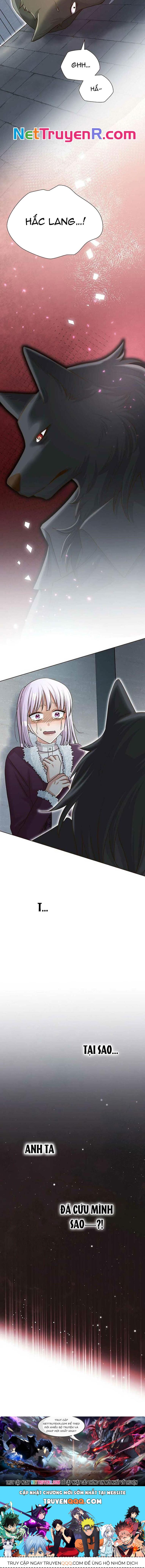 Cô Dâu Của Sói Trắng Chapter 67 - Trang 2
