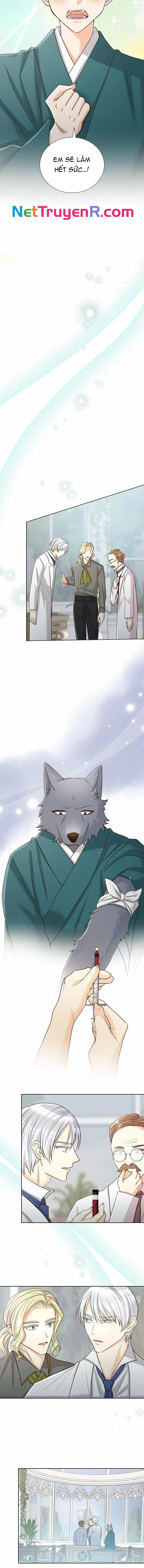 Cô Dâu Của Sói Trắng Chapter 68 - Trang 2