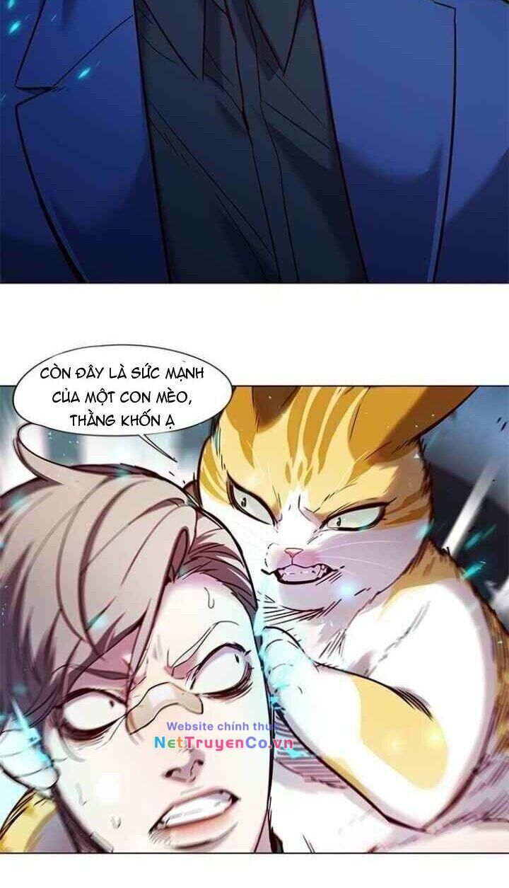 Cô Dâu Của Sói Trắng Chapter 93 - Trang 2