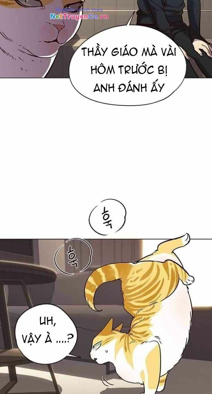 Cô Dâu Của Sói Trắng Chapter 94 - Trang 2