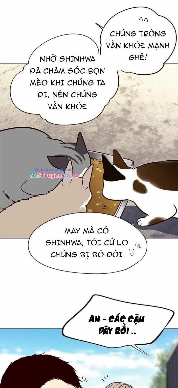 Cô Dâu Của Sói Trắng Chapter 100 - Trang 2