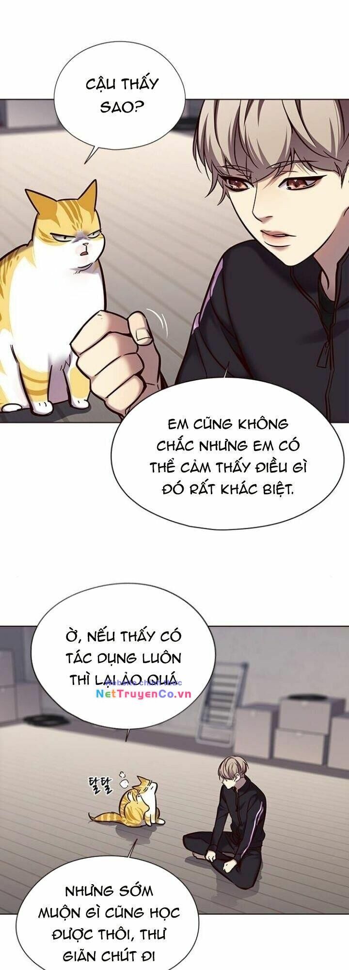Cô Dâu Của Sói Trắng Chapter 116 - Trang 2