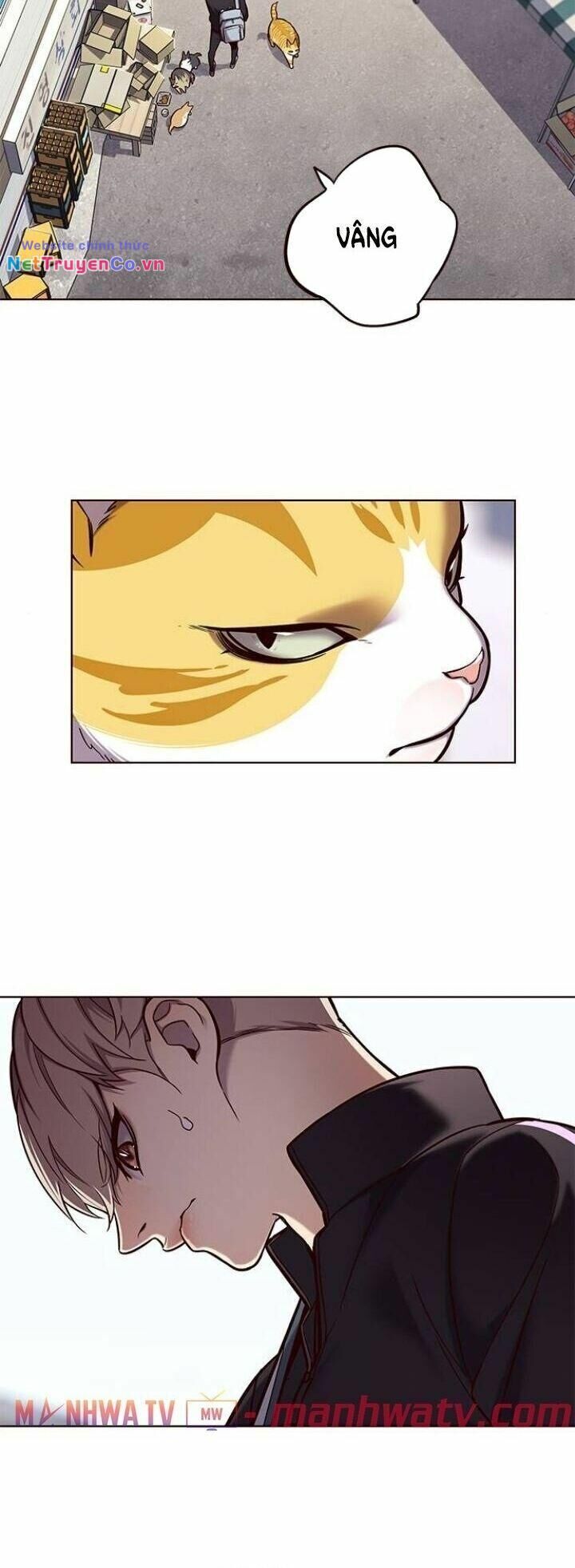 Cô Dâu Của Sói Trắng Chapter 117 - Trang 2