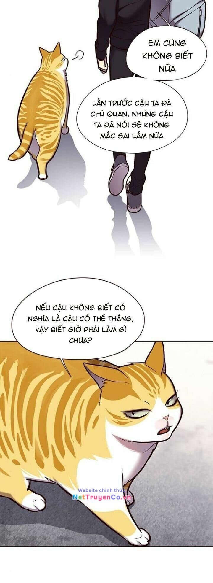 Cô Dâu Của Sói Trắng Chapter 117 - Trang 2