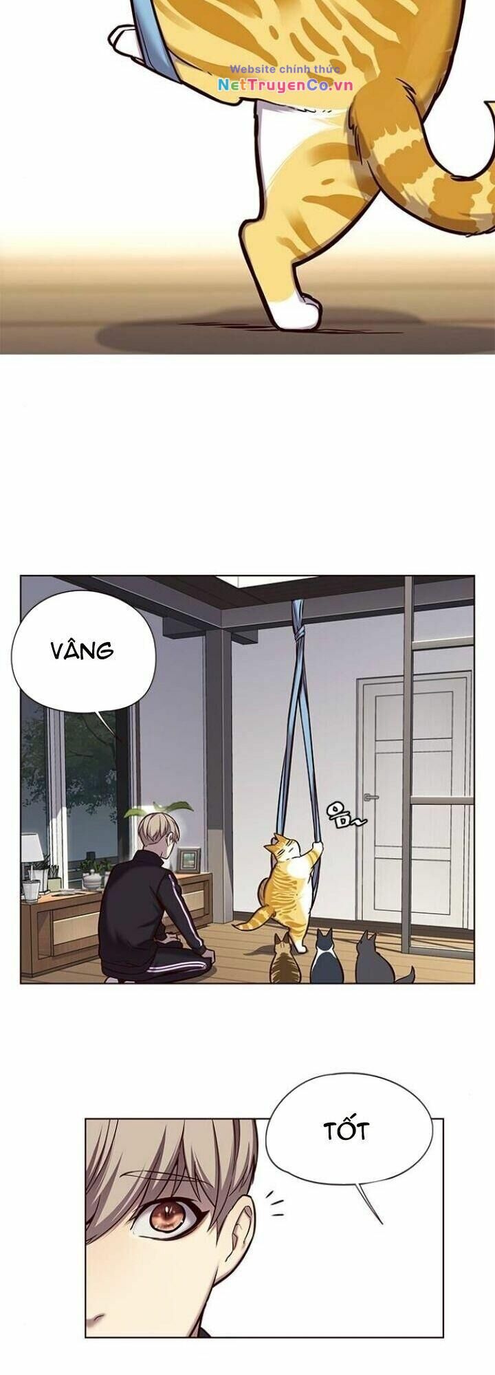 Cô Dâu Của Sói Trắng Chapter 118 - Trang 2