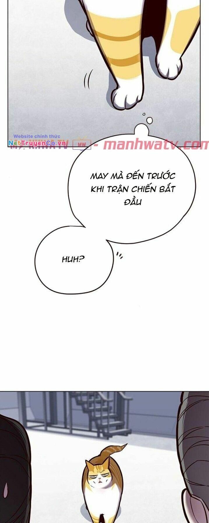 Cô Dâu Của Sói Trắng Chapter 119 - Trang 2