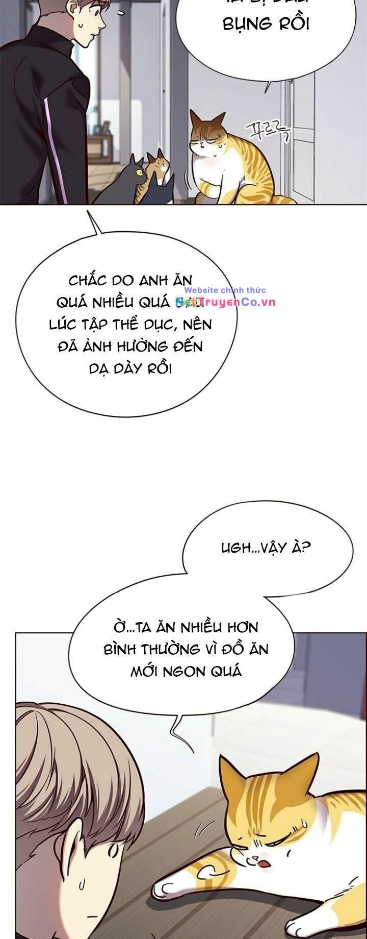 Cô Dâu Của Sói Trắng Chapter 119 - Trang 2