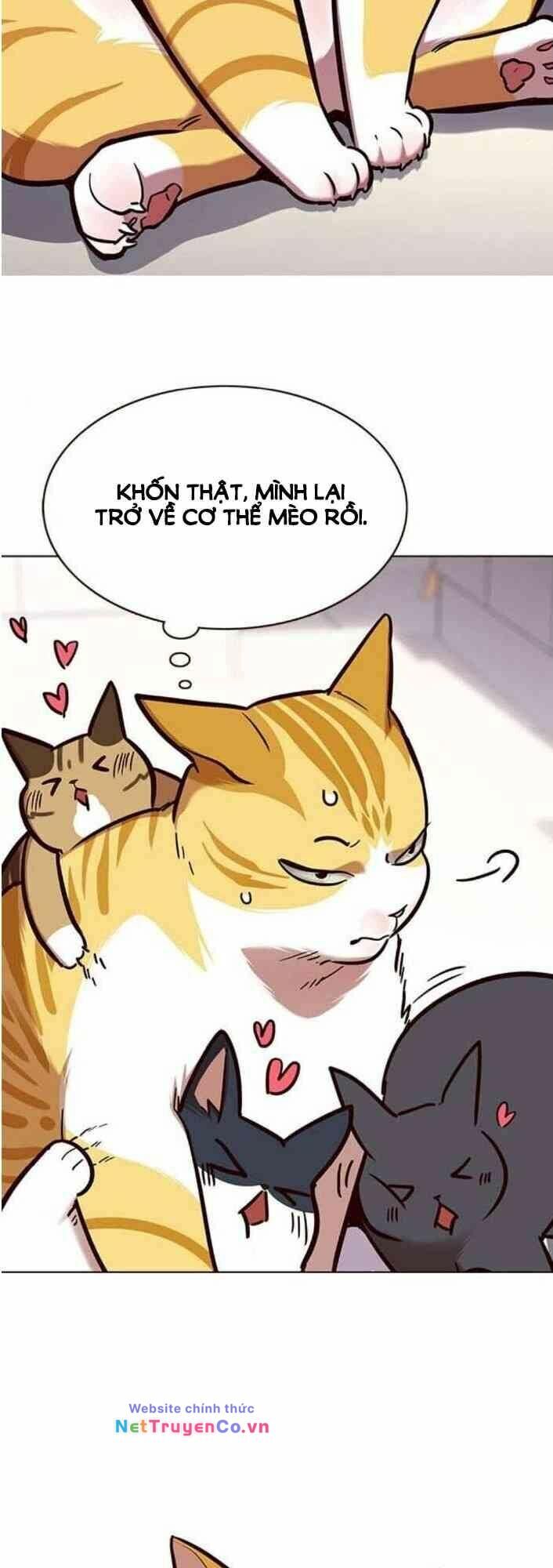 Cô Dâu Của Sói Trắng Chapter 138 - Trang 2