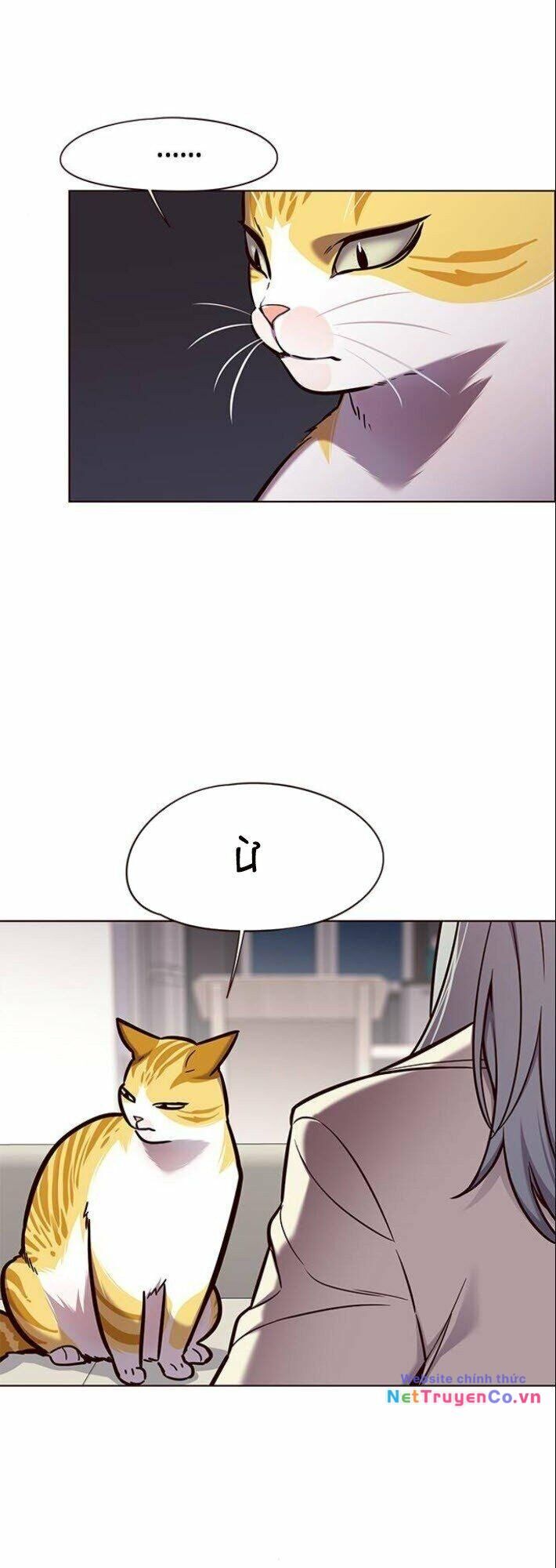 Cô Dâu Của Sói Trắng Chapter 139 - Trang 2