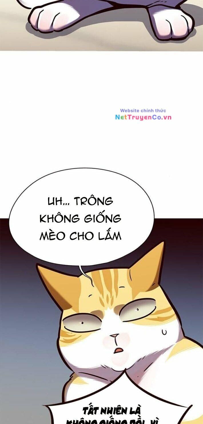 Cô Dâu Của Sói Trắng Chapter 141 - Trang 2