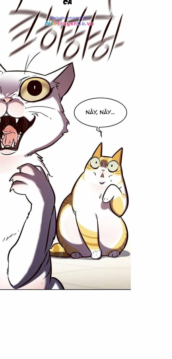 Cô Dâu Của Sói Trắng Chapter 141 - Trang 2