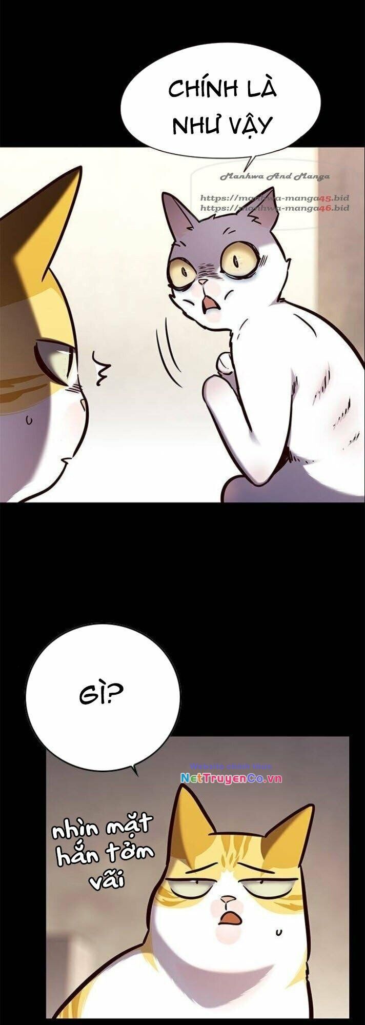 Cô Dâu Của Sói Trắng Chapter 142 - Trang 2