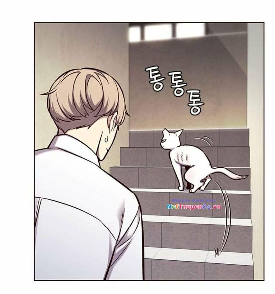 Cô Dâu Của Sói Trắng Chapter 144 - Trang 2