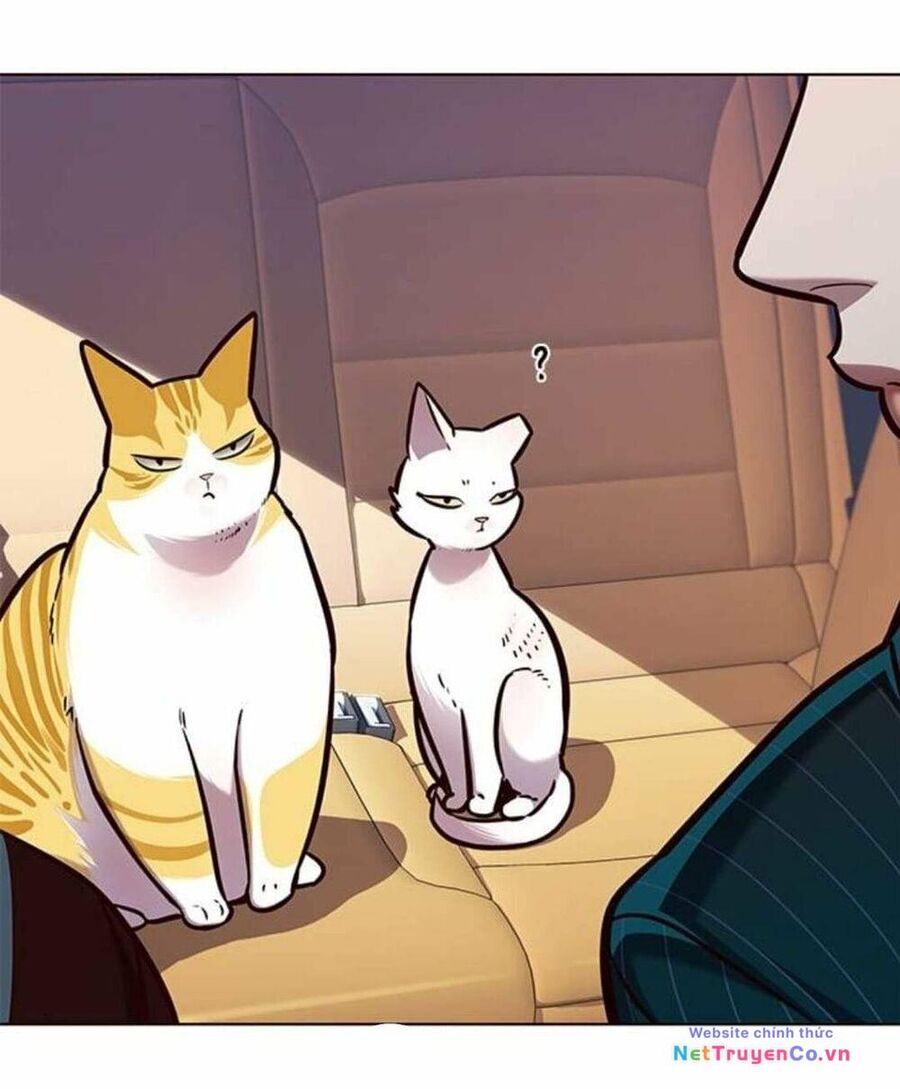 Cô Dâu Của Sói Trắng Chapter 144 - Trang 2