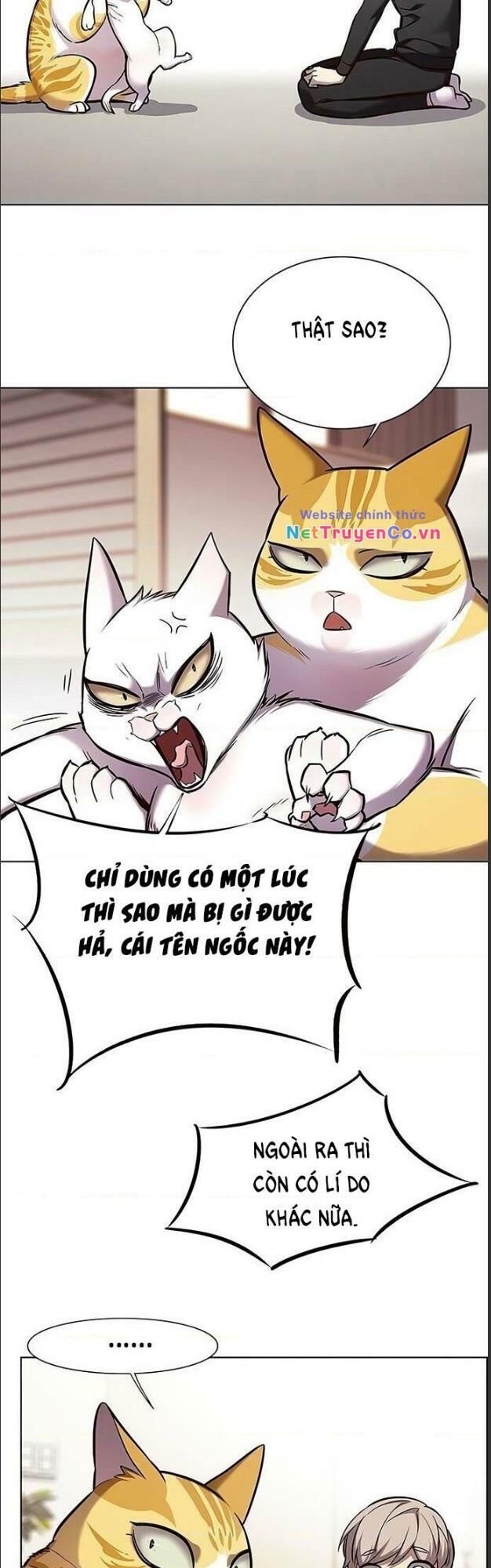 Cô Dâu Của Sói Trắng Chapter 156 - Trang 2