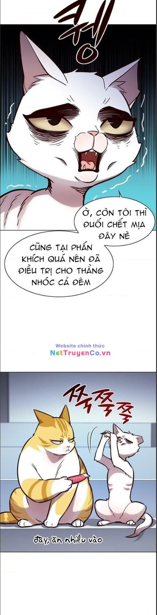 Cô Dâu Của Sói Trắng Chapter 159 - Trang 2