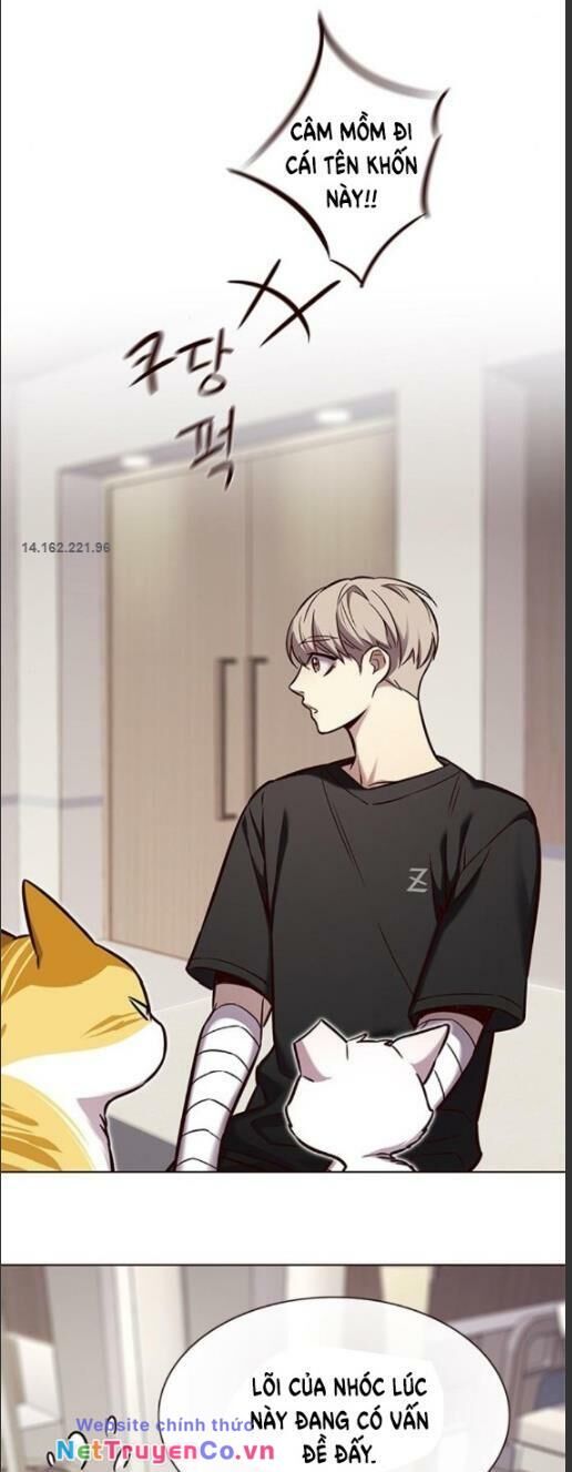 Cô Dâu Của Sói Trắng Chapter 160 - Trang 2