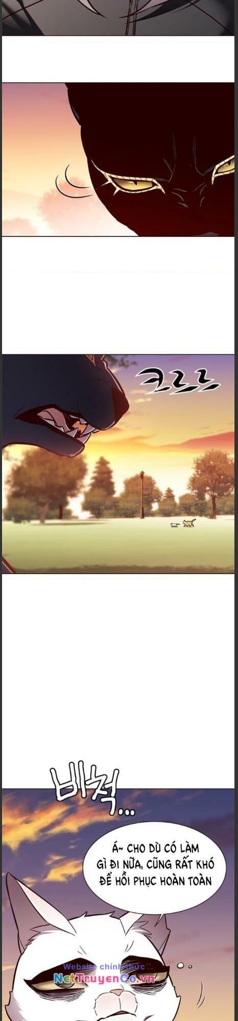 Cô Dâu Của Sói Trắng Chapter 161 - Trang 2
