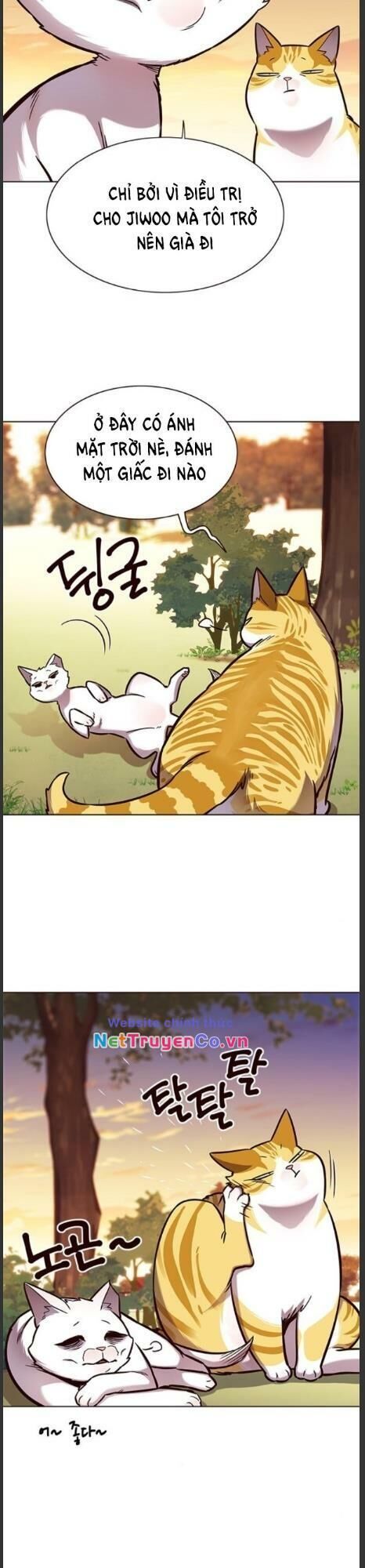 Cô Dâu Của Sói Trắng Chapter 161 - Trang 2