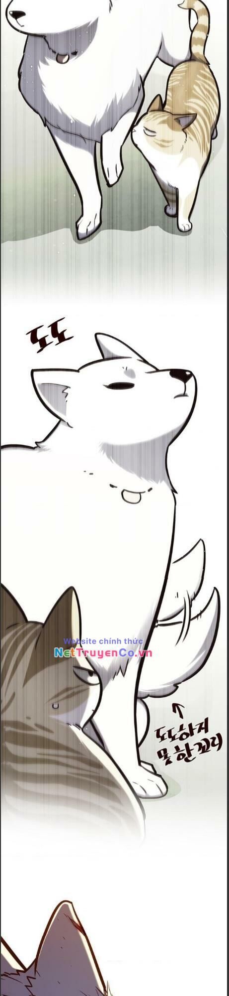 Cô Dâu Của Sói Trắng Chapter 161 - Trang 2