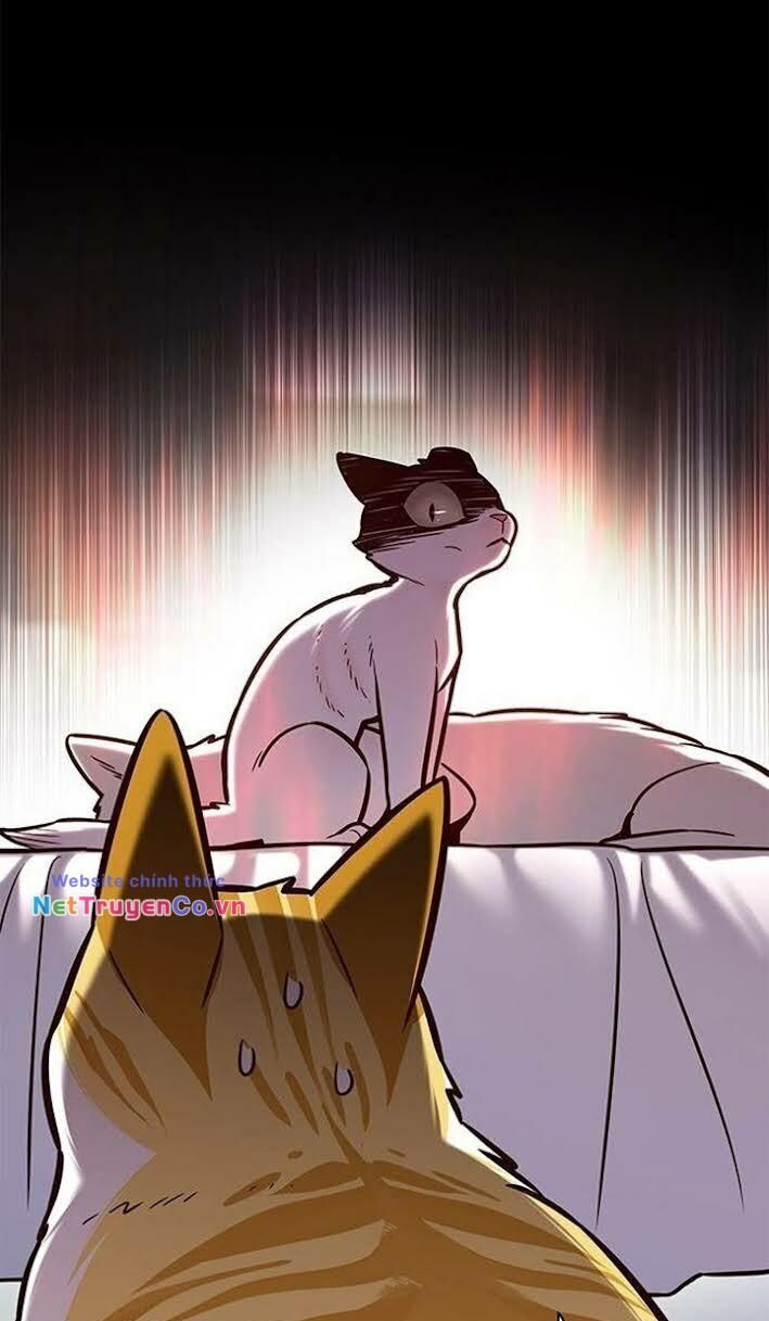 Cô Dâu Của Sói Trắng Chapter 166 - Trang 2
