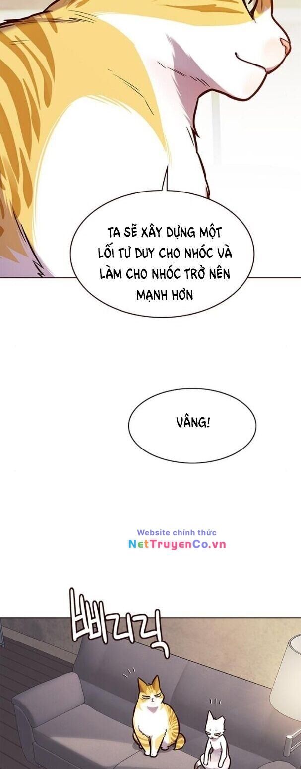 Cô Dâu Của Sói Trắng Chapter 173 - Trang 2