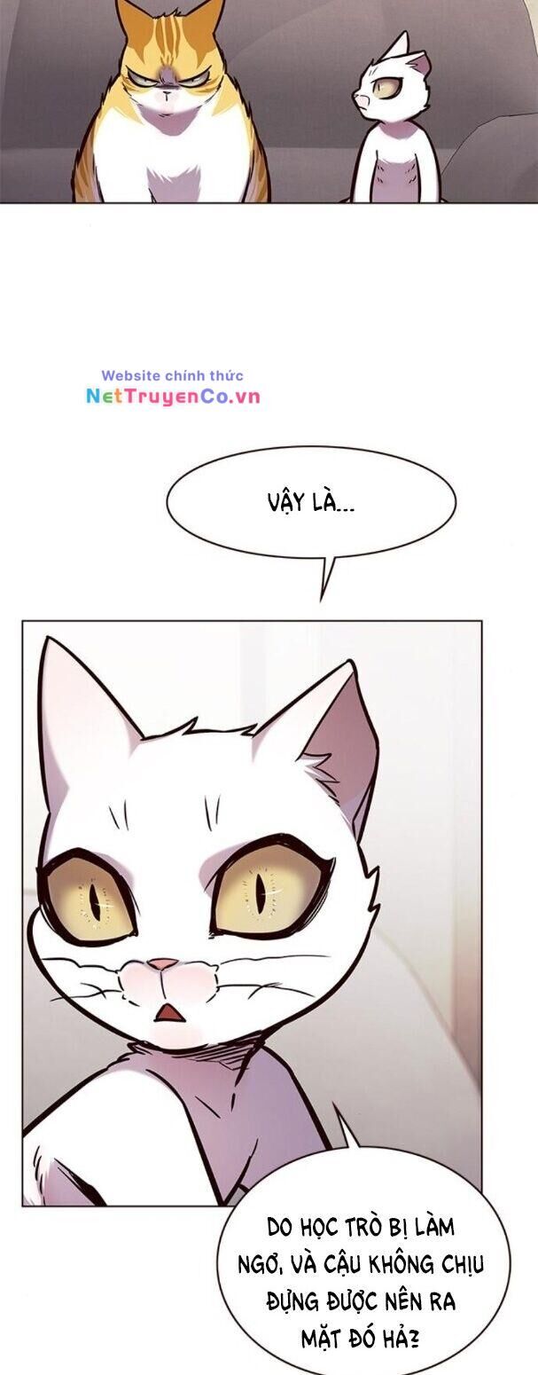 Cô Dâu Của Sói Trắng Chapter 173 - Trang 2