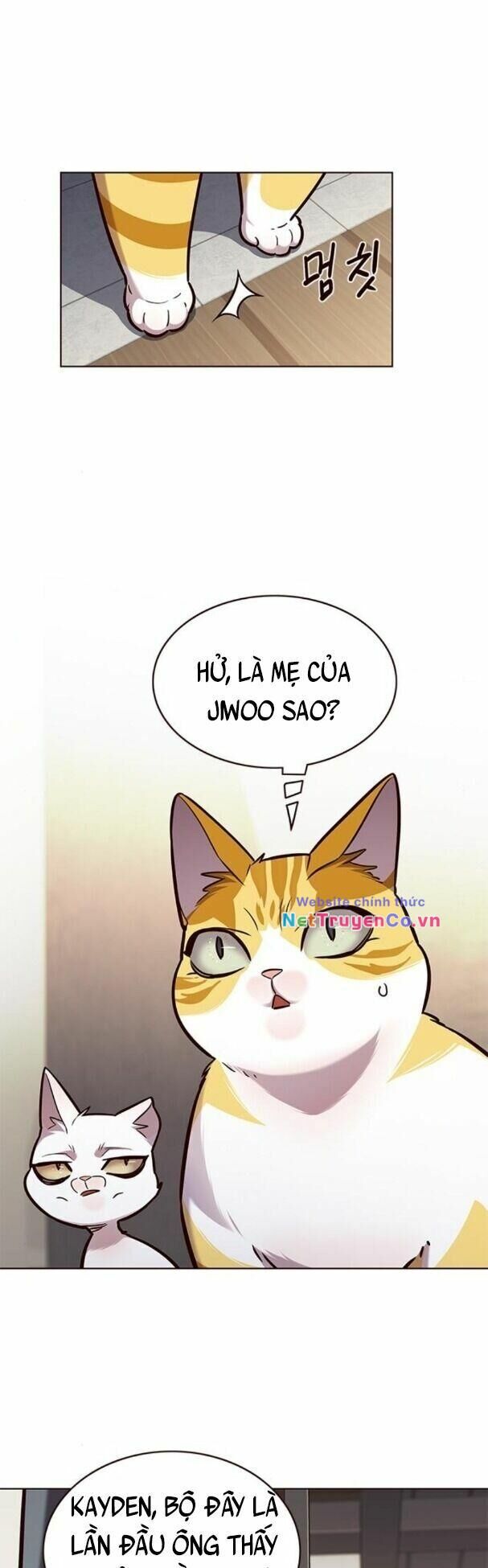 Cô Dâu Của Sói Trắng Chapter 177 - Trang 2